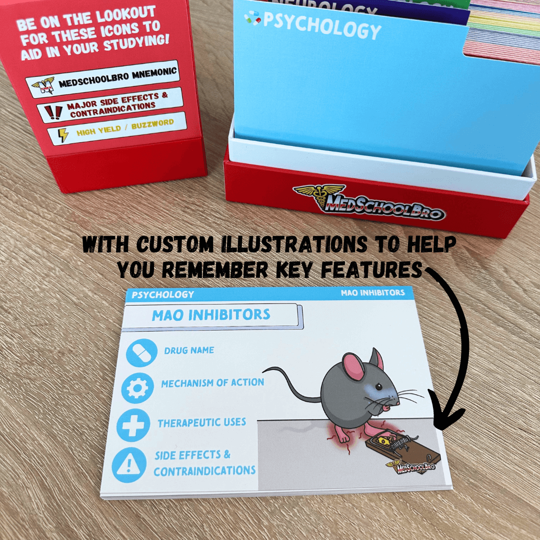 語学・辞書・学習参考書 BRS Pharmacology Flash Cards Pharmacology 語学・辞書・学習参考書 BRS Pharmacology Flash Cards Pharmacology