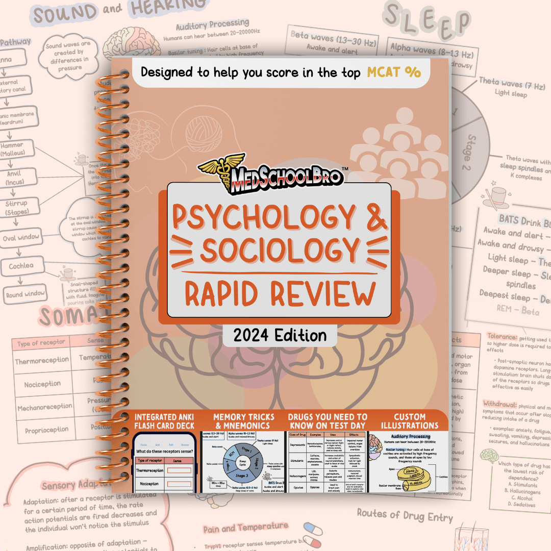 Psychology & Sociology: Rapid Review