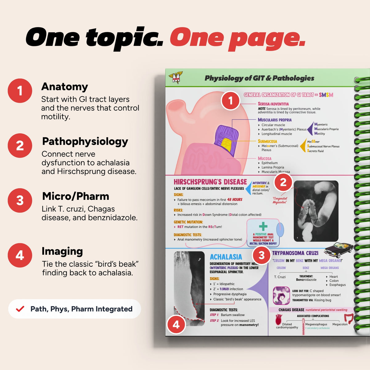 The Complete USMLE Step 1 Guide