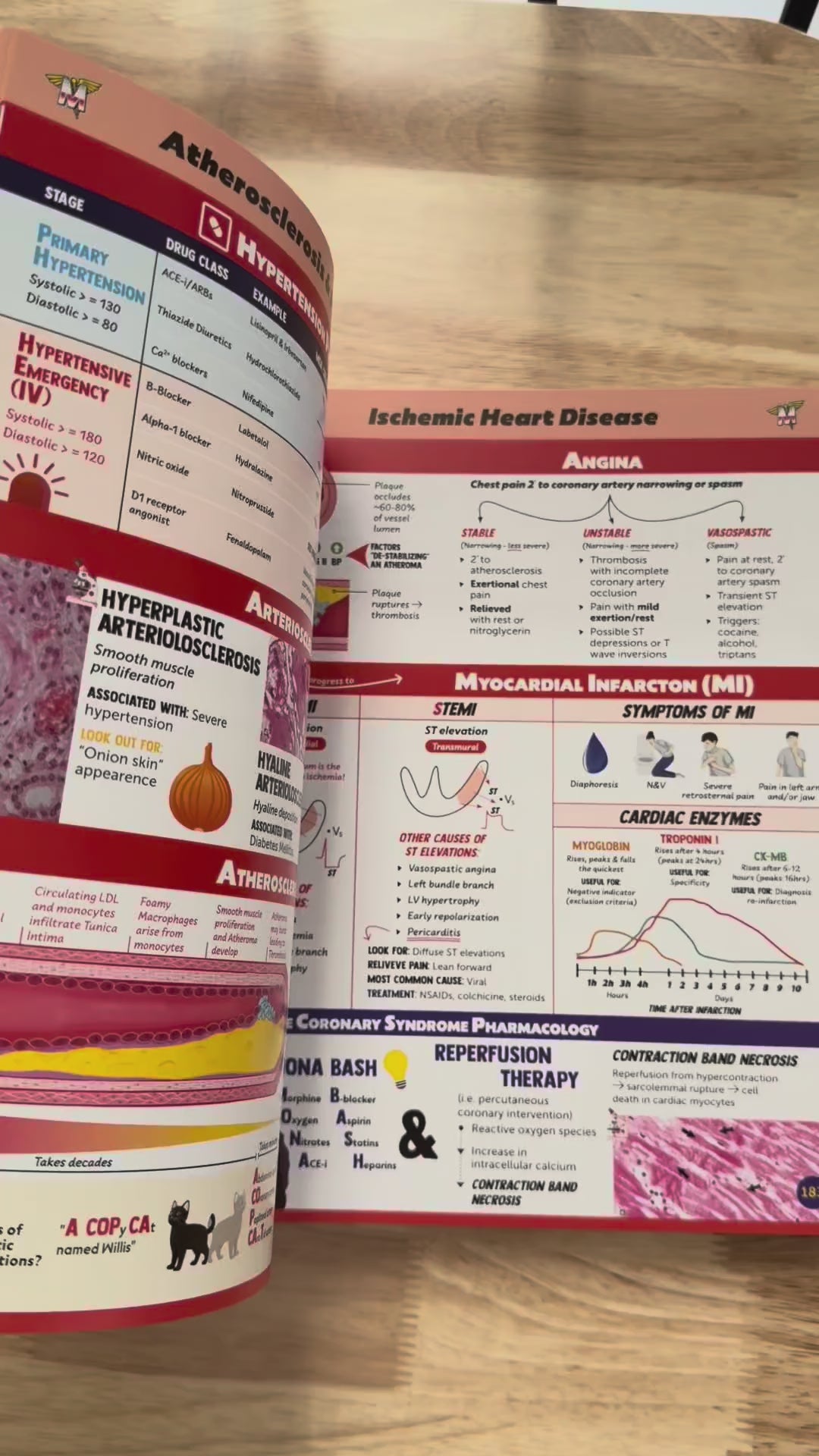 Load video: The Complete USMLE Step 1 Bundle